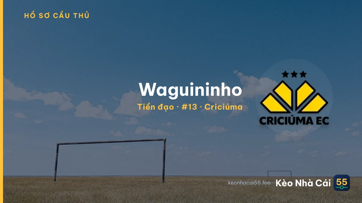 Waguininho — Criciúma
