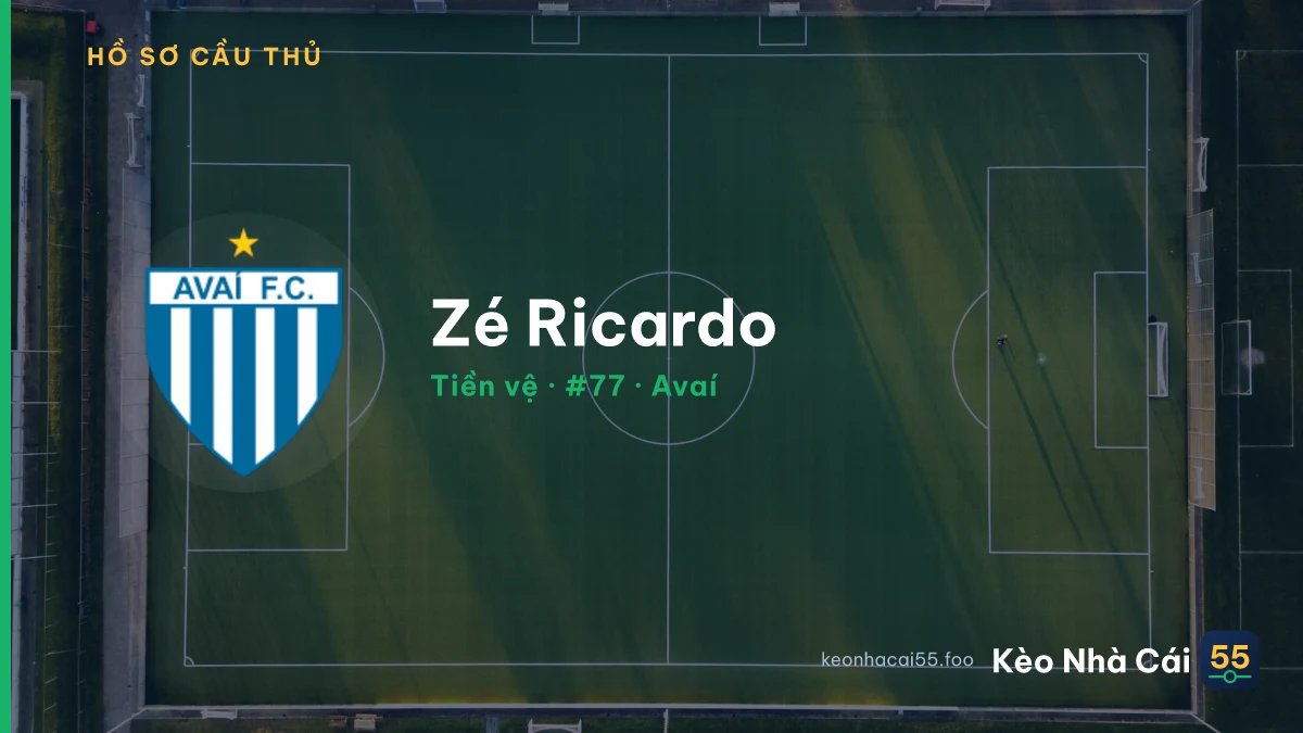 Zé Ricardo — Avaí