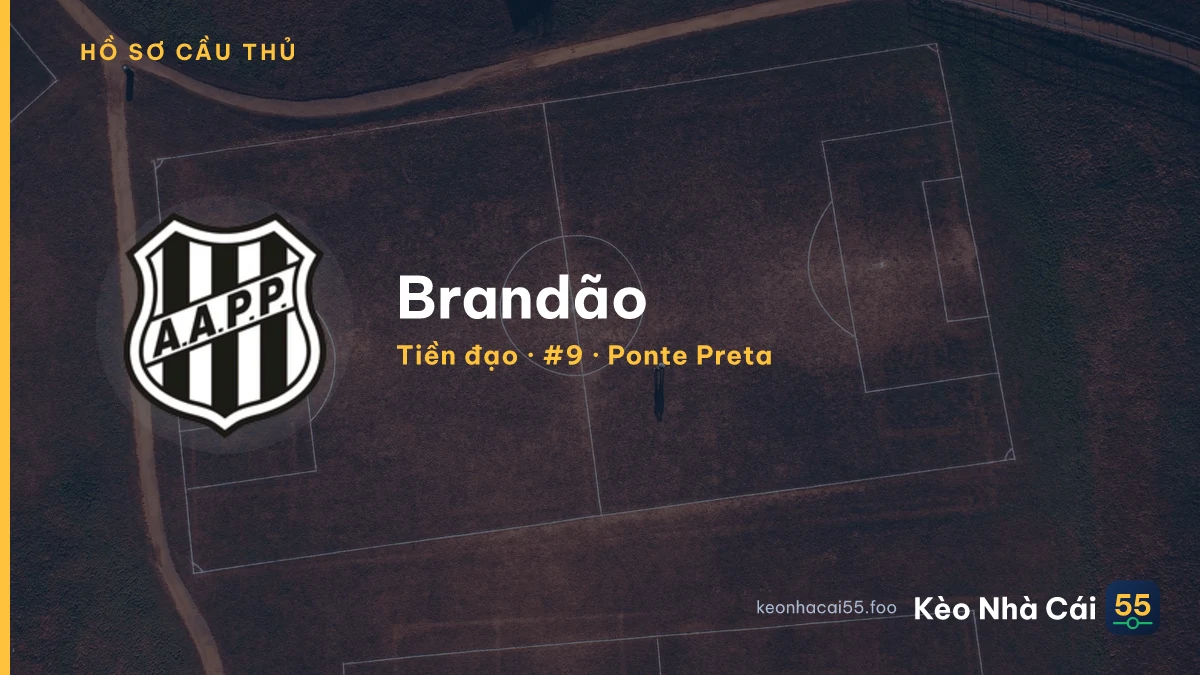 Brandão — Ponte Preta