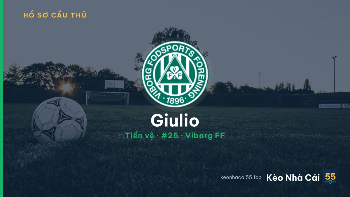 Giulio — Viborg FF