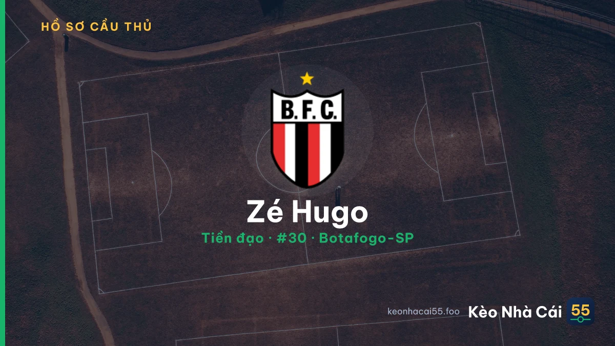 Zé Hugo — Botafogo-SP