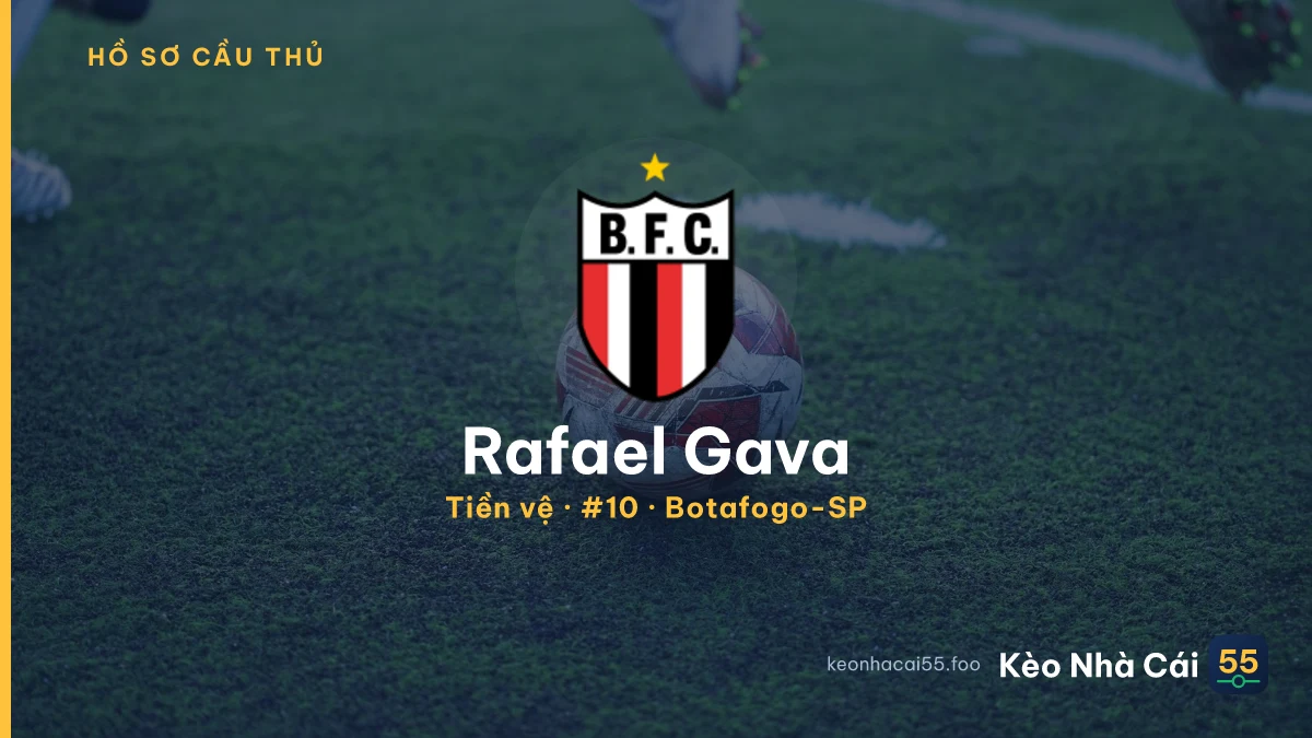 Rafael Gava — Botafogo-SP