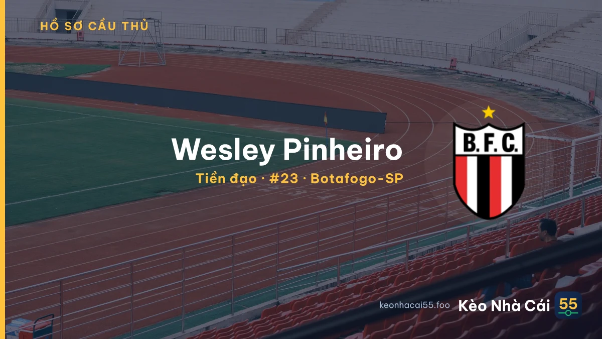 Wesley Pinheiro — Botafogo-SP