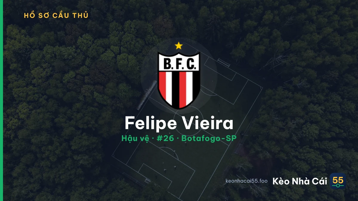 Felipe Vieira — Botafogo-SP