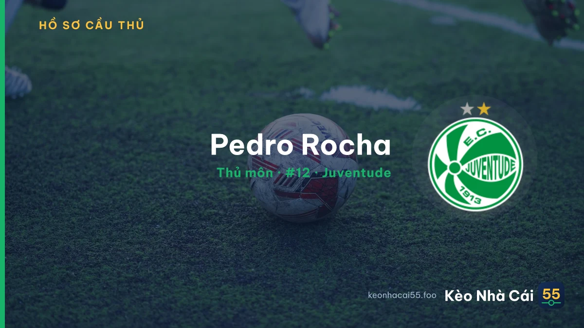 Pedro Rocha — Juventude