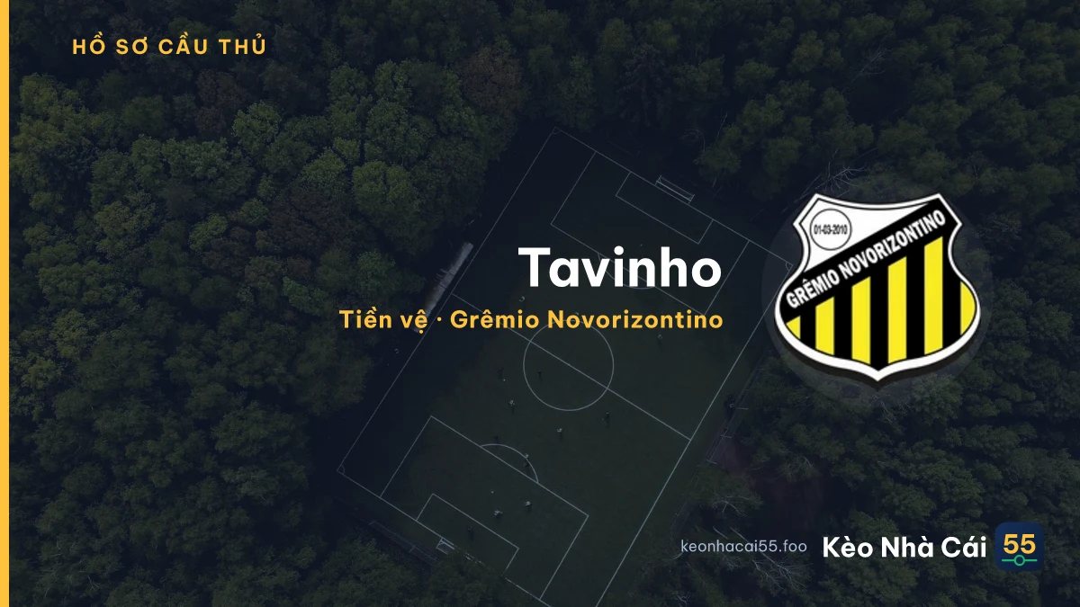 Tavinho — Grêmio Novorizontino