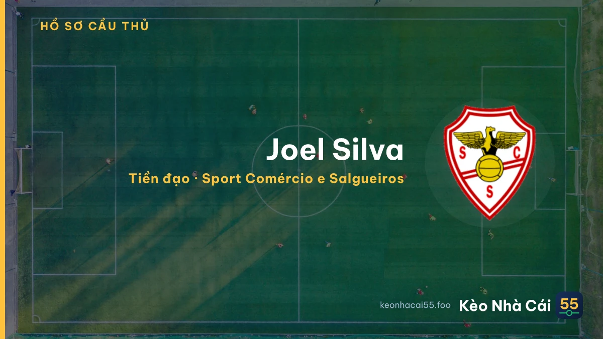 Joel Silva — Sport Comércio e Salgueiros