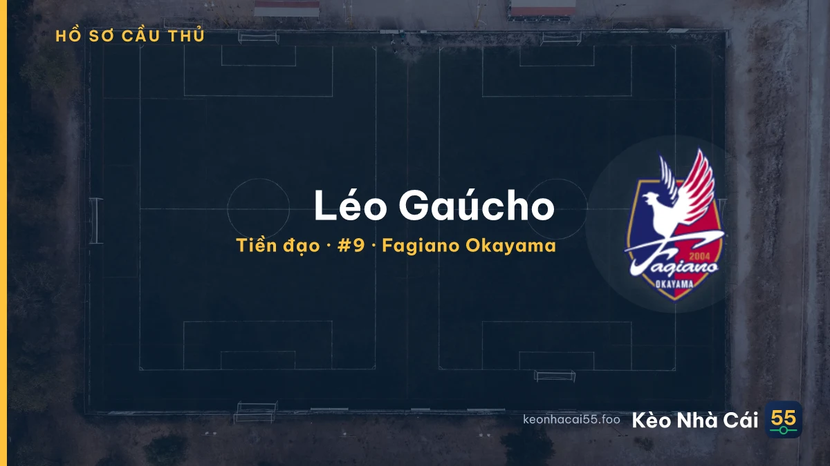 Léo Gaúcho — Fagiano Okayama