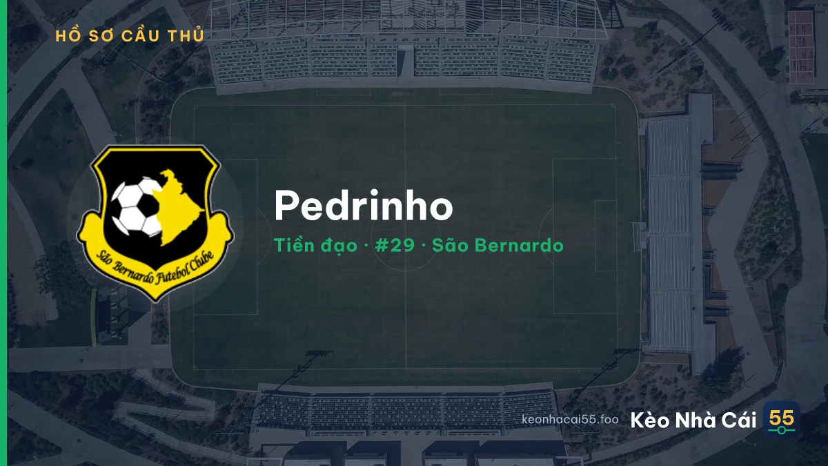 Pedrinho — São Bernardo