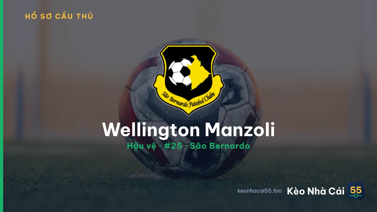 Wellington Manzoli — São Bernardo