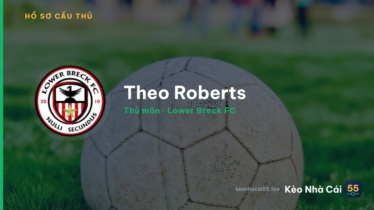 Theo Roberts — Lower Breck FC