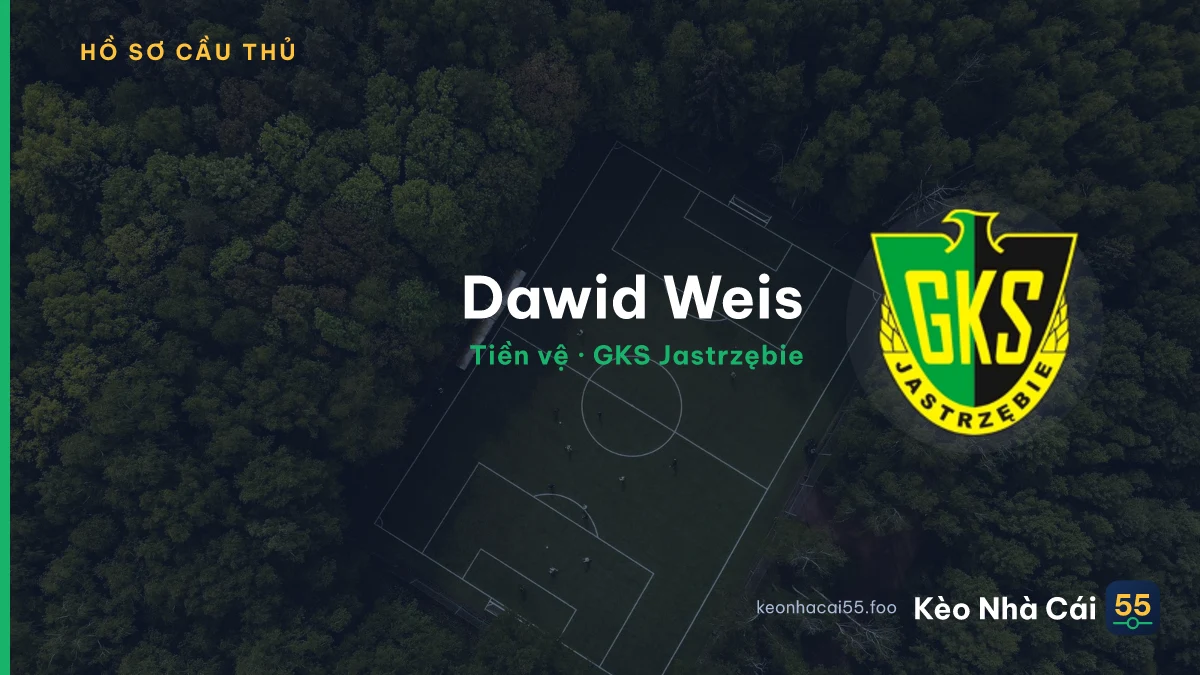 Dawid Weis — GKS Jastrzębie