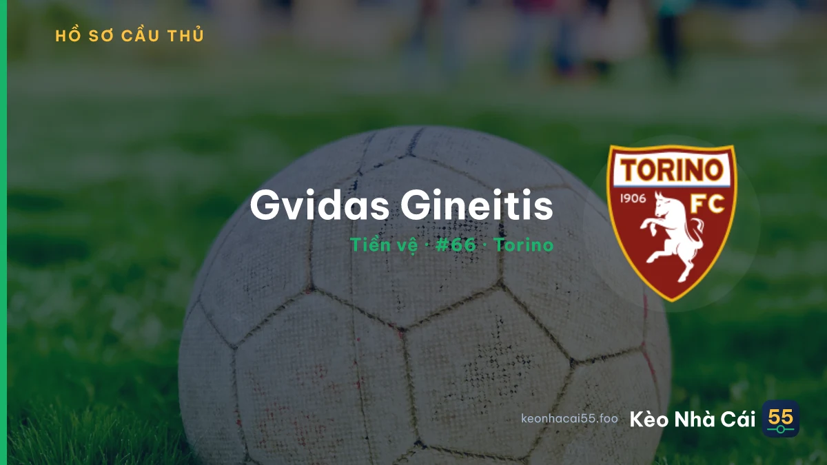 Gvidas Gineitis — Torino