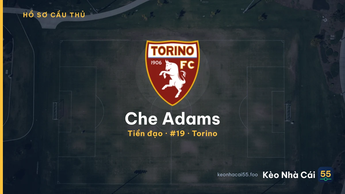 Che Adams — Torino