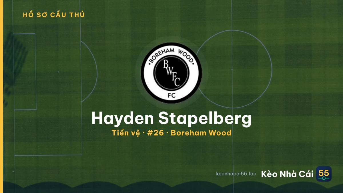 Hayden Stapelberg — Boreham Wood