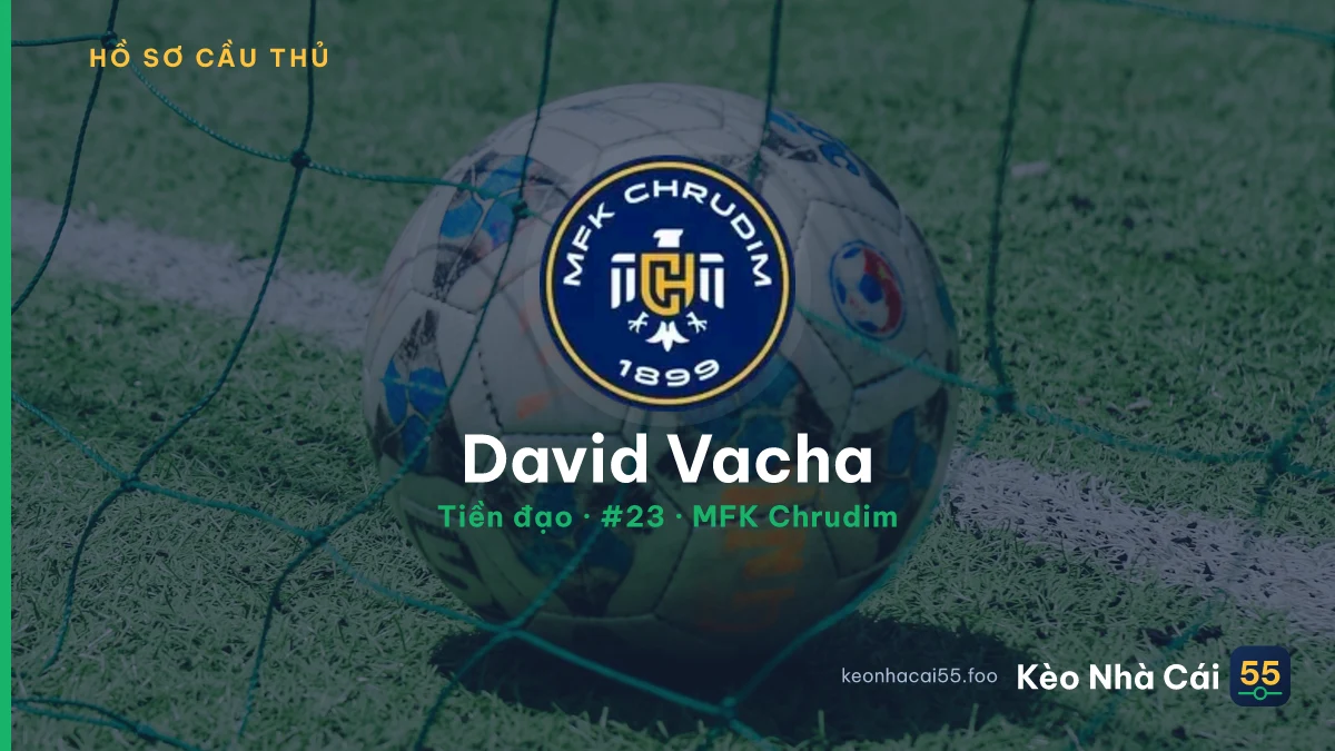 David Vacha — MFK Chrudim