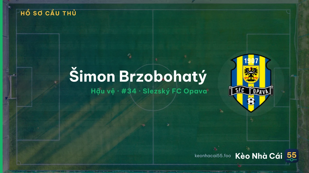 Šimon Brzobohatý — Slezský FC Opava