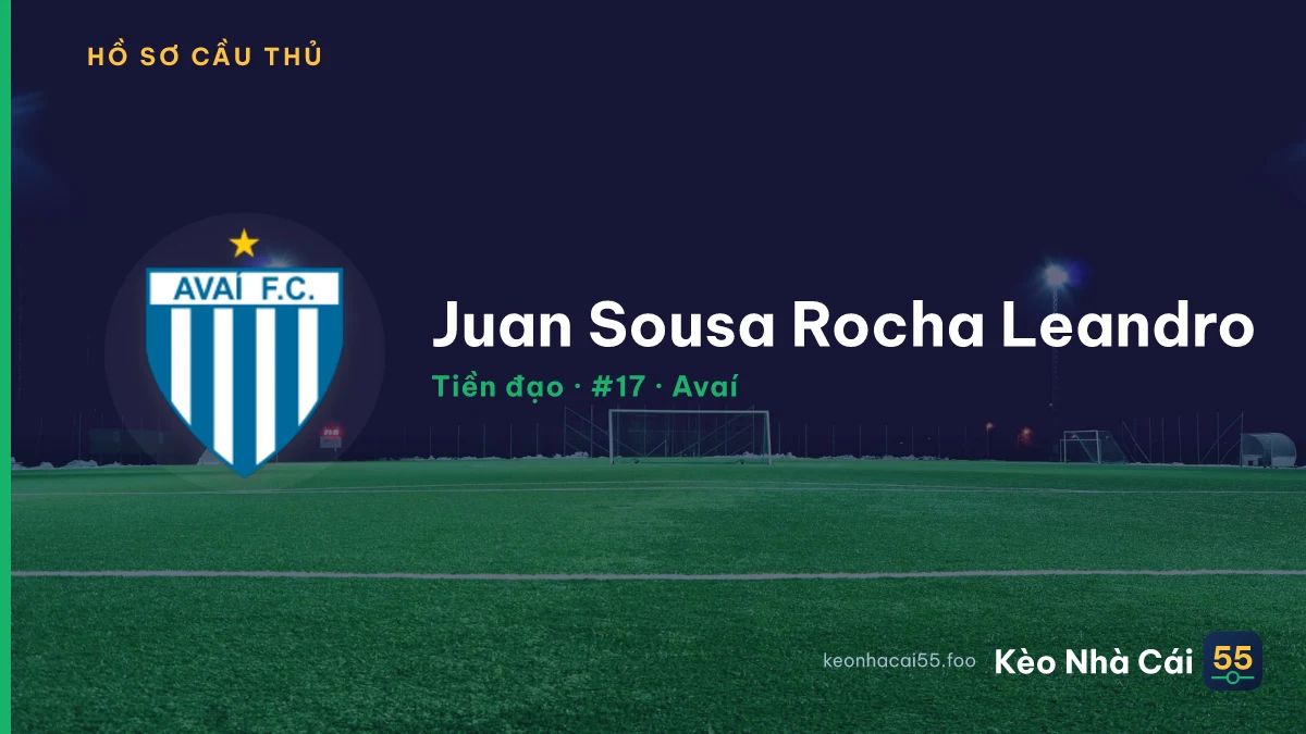 Juan Sousa Rocha Leandro — Avaí