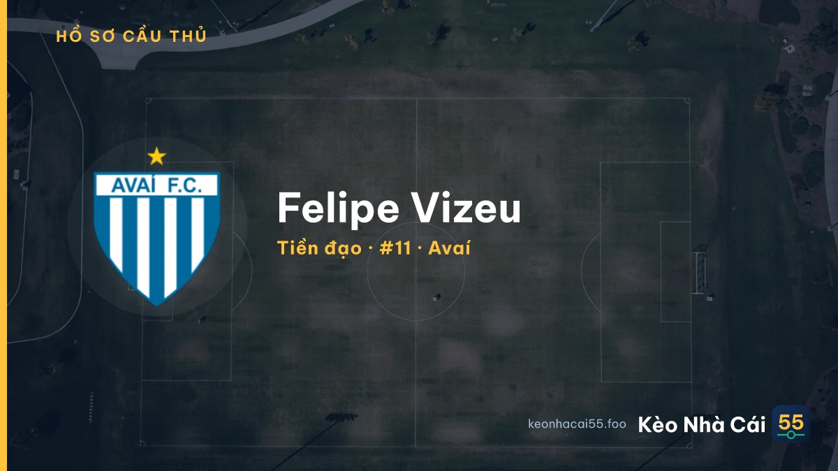 Felipe Vizeu — Avaí