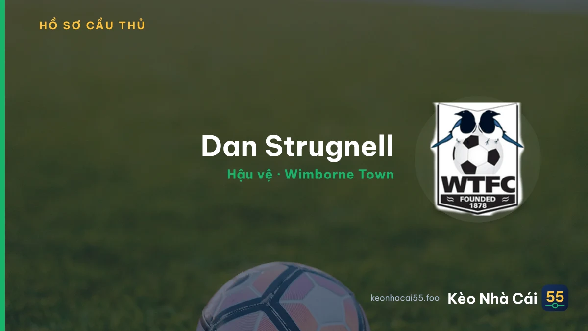 Dan Strugnell — Wimborne Town