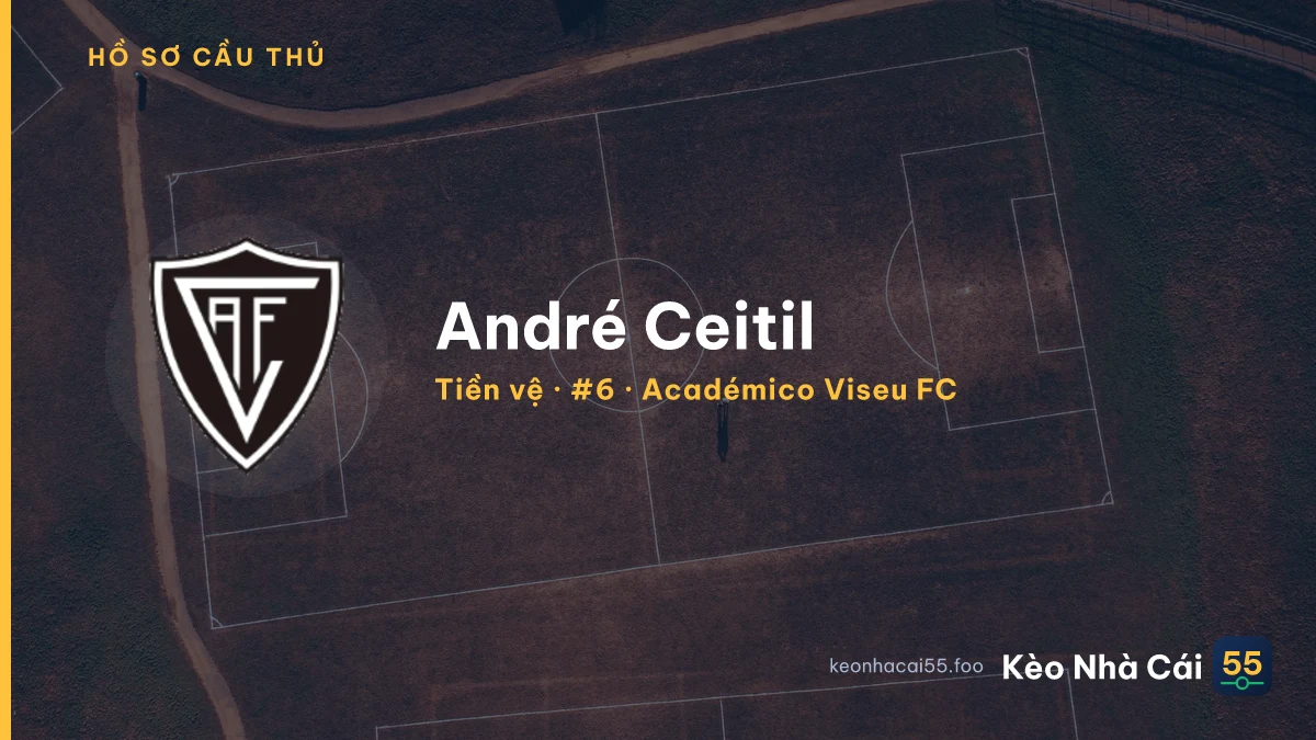 André Ceitil — Académico Viseu FC