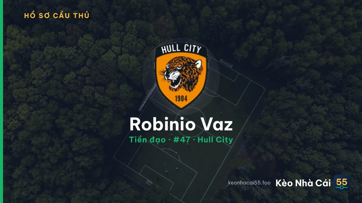 Robinio Vaz — Hull City