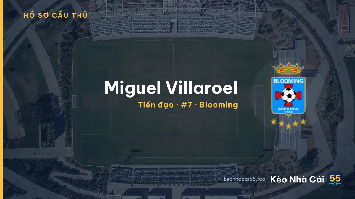 Miguel Villaroel — Blooming