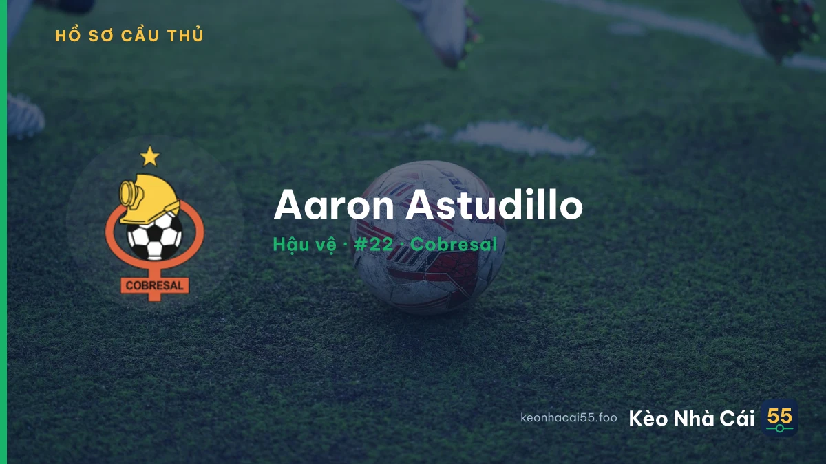 Aaron Astudillo — Cobresal