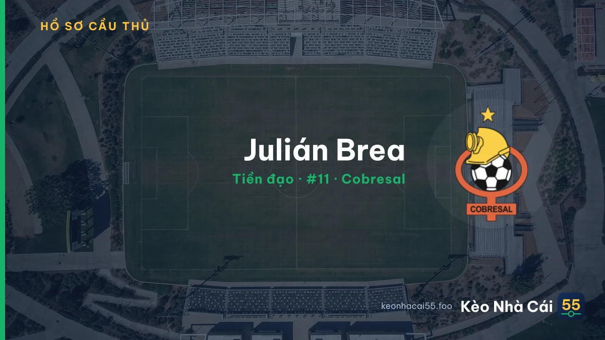 Julián Brea — Cobresal