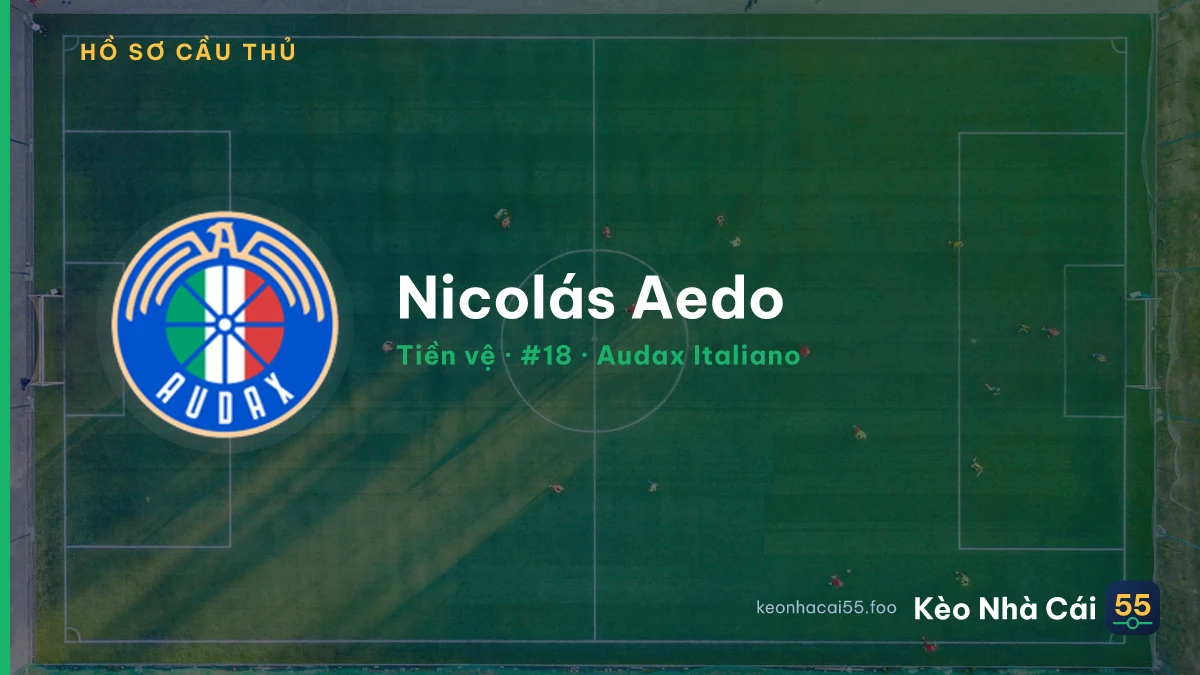 Nicolás Aedo — Audax Italiano