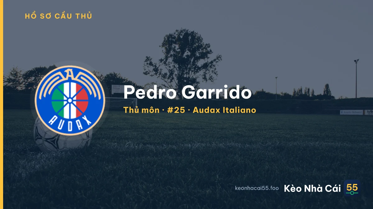 Pedro Garrido — Audax Italiano
