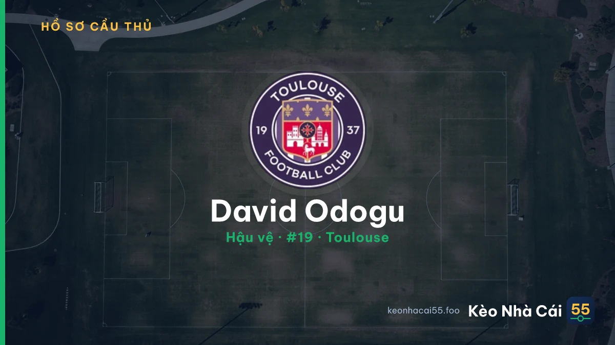 David Odogu — Toulouse