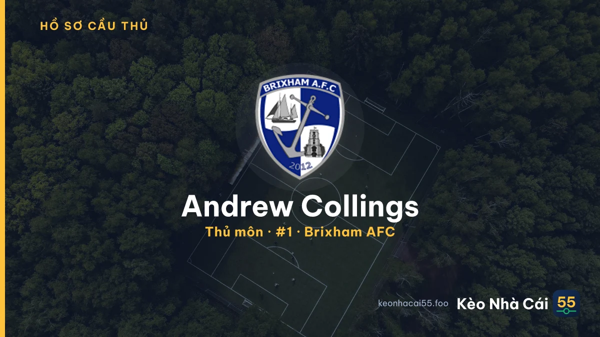 Andrew Collings — Brixham AFC