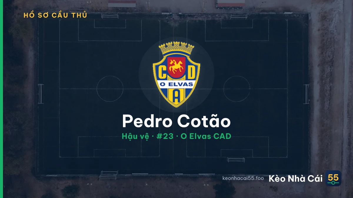 Pedro Cotão — O Elvas CAD