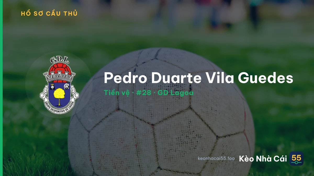 Pedro Duarte Vila Guedes — GD Lagoa