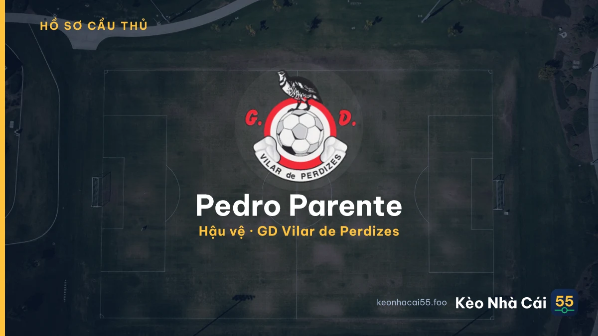 Pedro Parente — GD Vilar de Perdizes