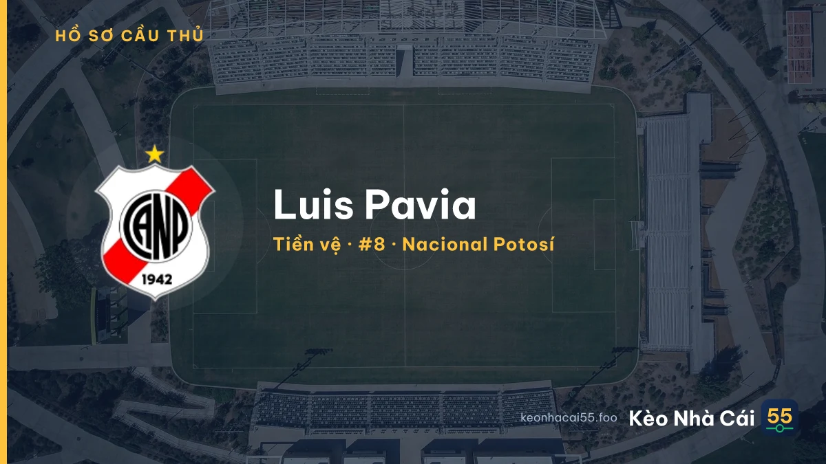 Luis Pavia — Nacional Potosí