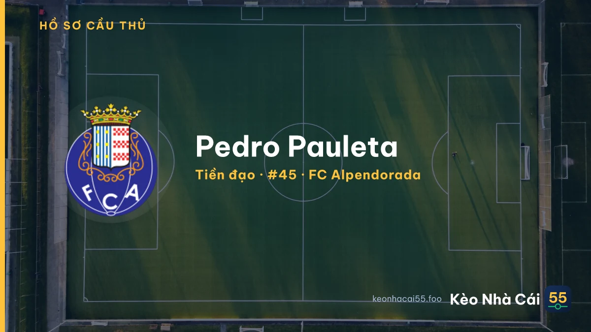Pedro Pauleta — FC Alpendorada