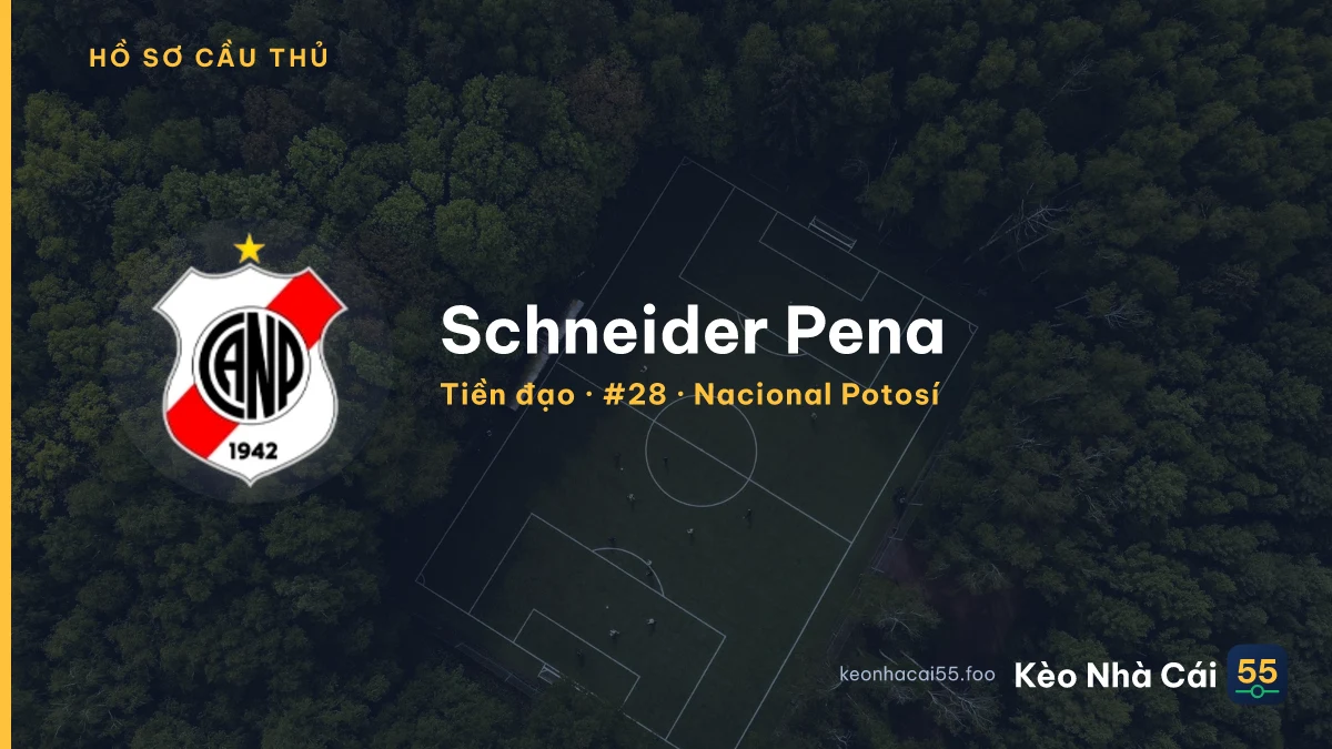 Schneider Pena — Nacional Potosí