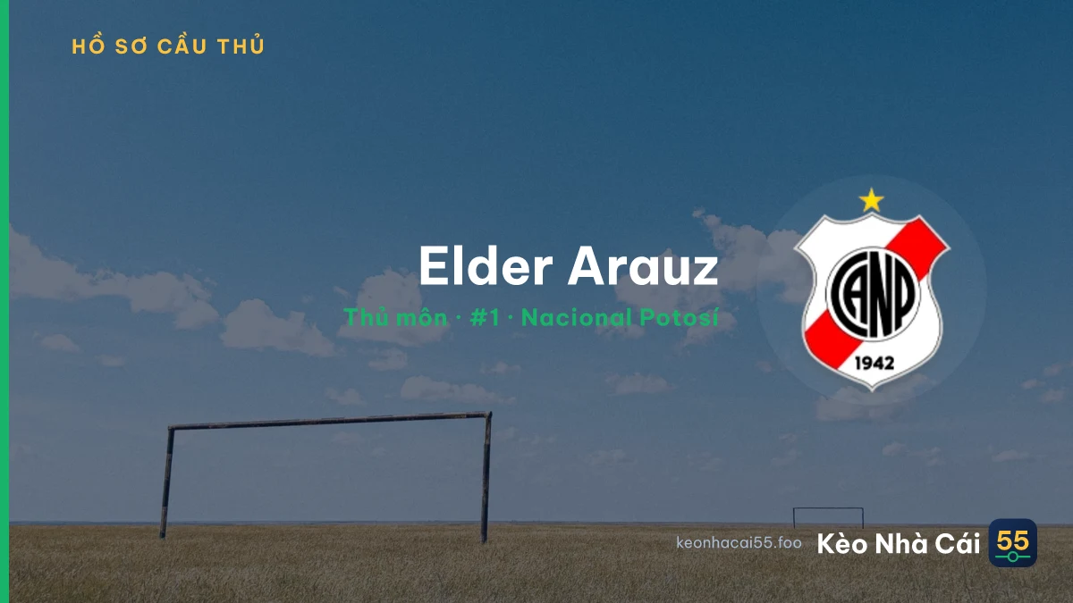 Elder Arauz — Nacional Potosí