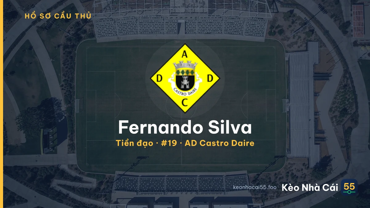 Fernando Silva — AD Castro Daire