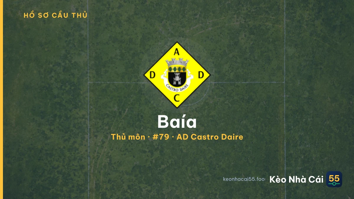 Baía — AD Castro Daire