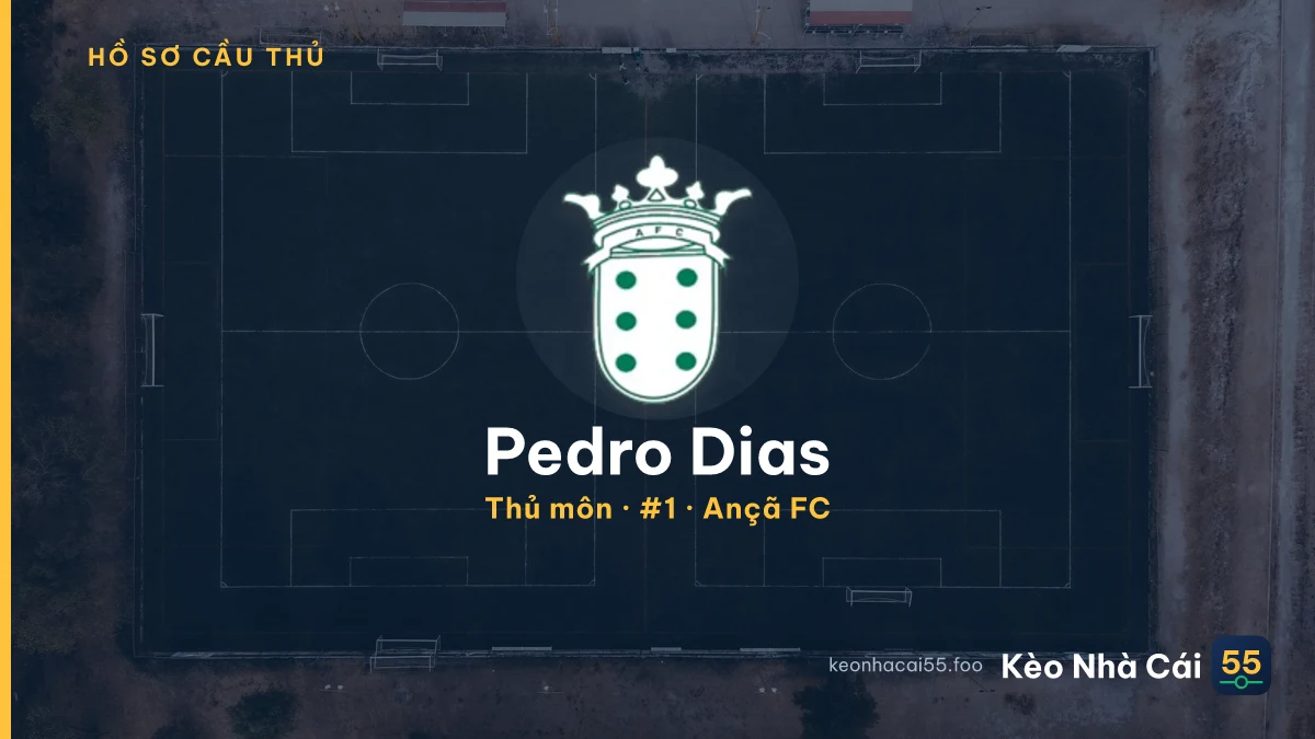 Pedro Dias — Ançã FC