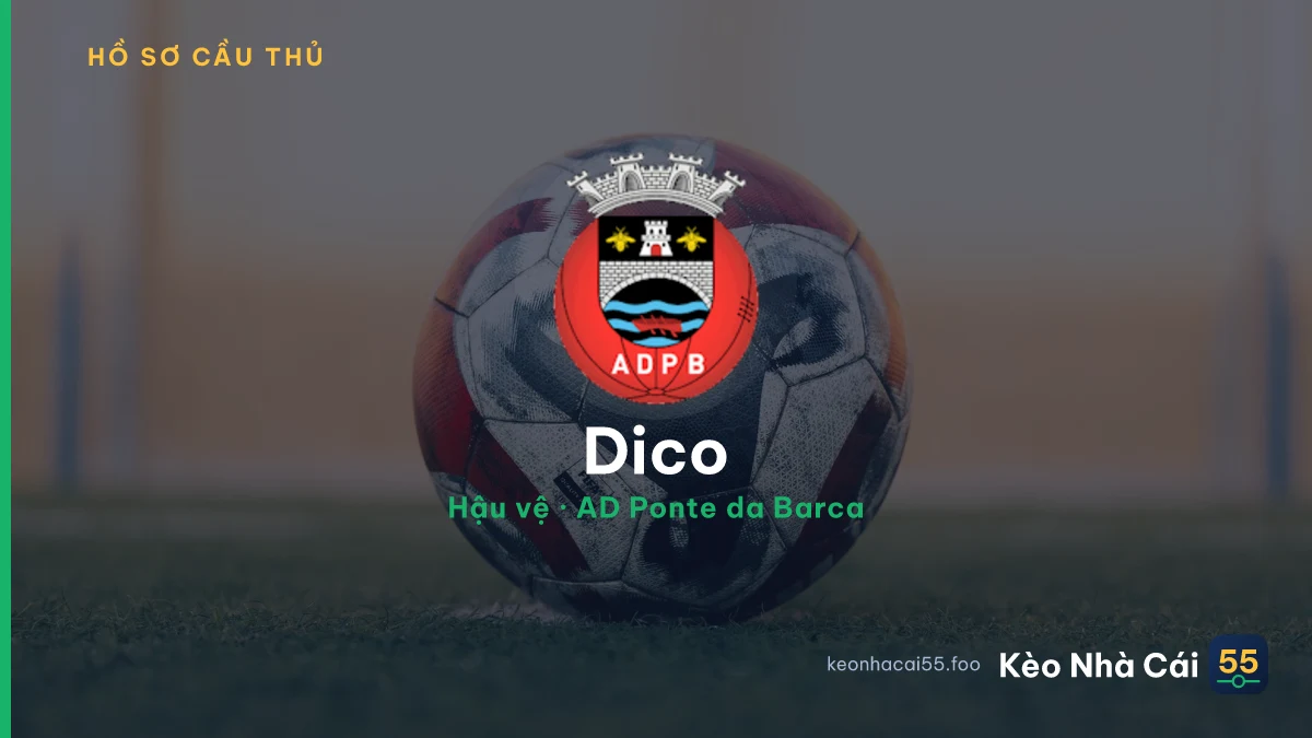 Dico — AD Ponte da Barca