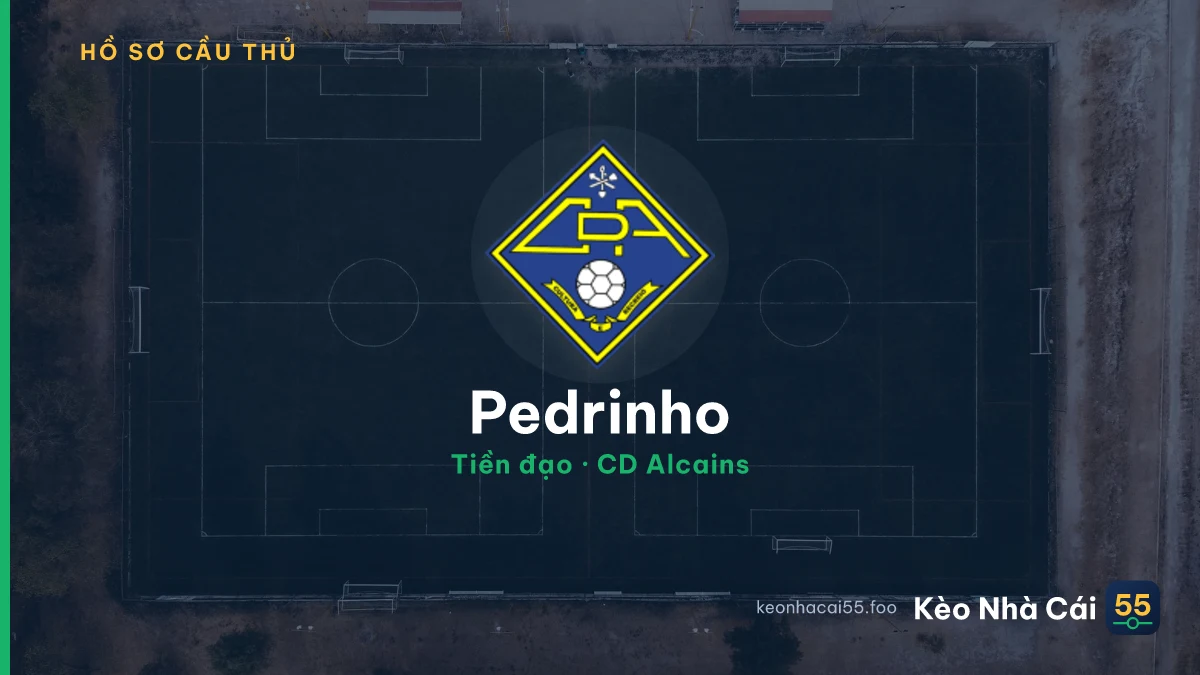Pedrinho — CD Alcains