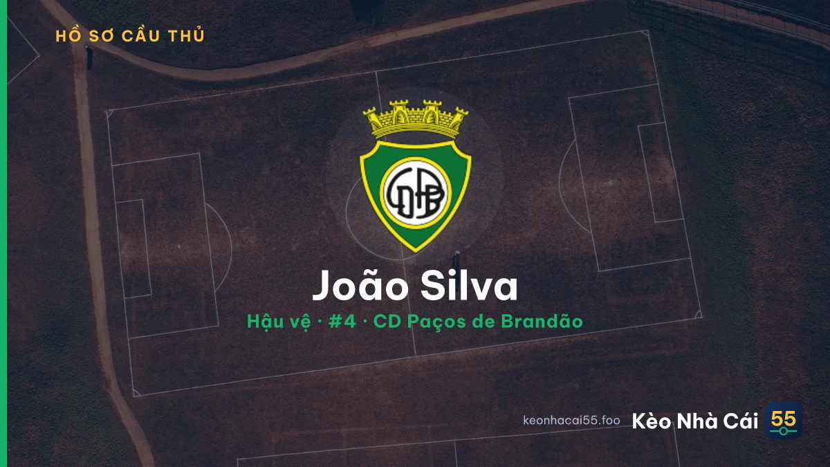 João Silva — CD Paços de Brandão