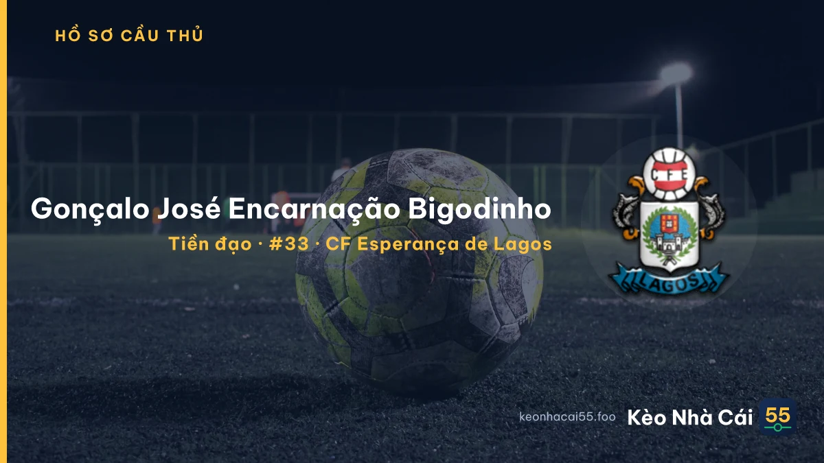 Gonçalo José Encarnação Bigodinho — CF Esperança de Lagos