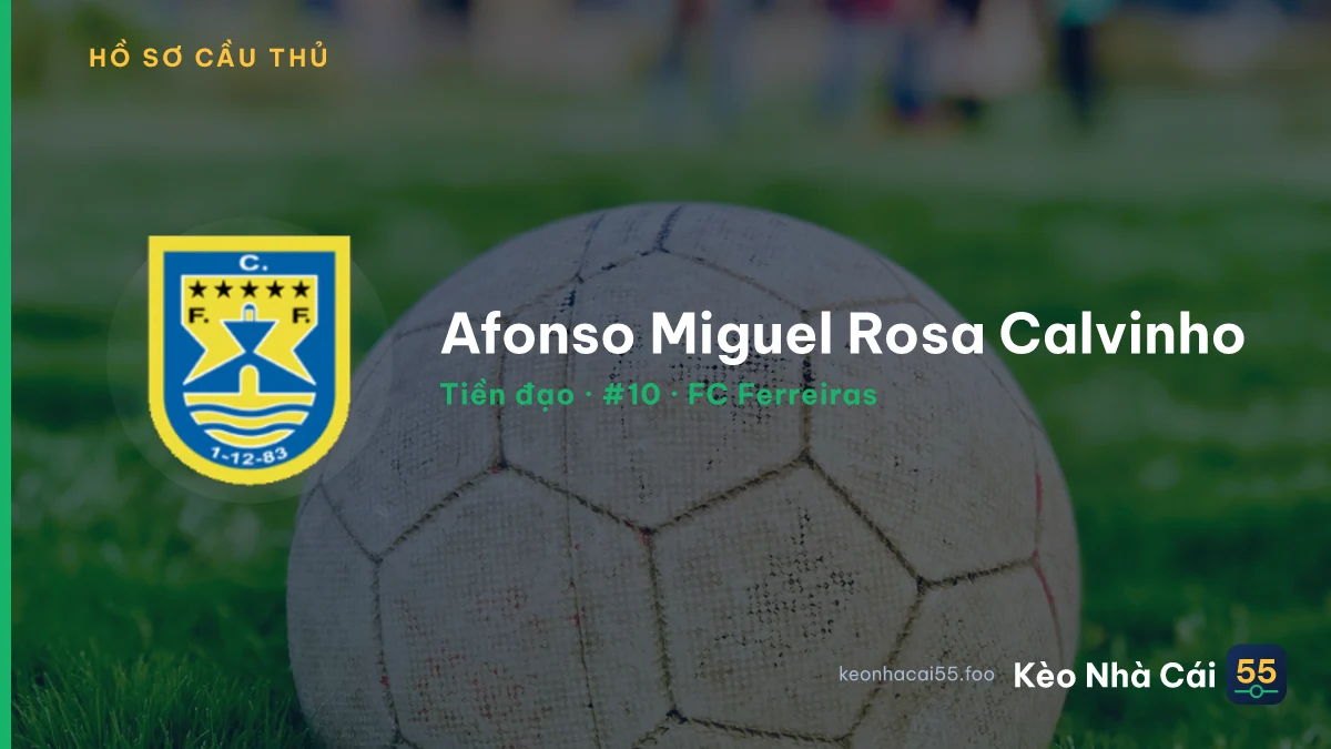 Afonso Miguel Rosa Calvinho — FC Ferreiras