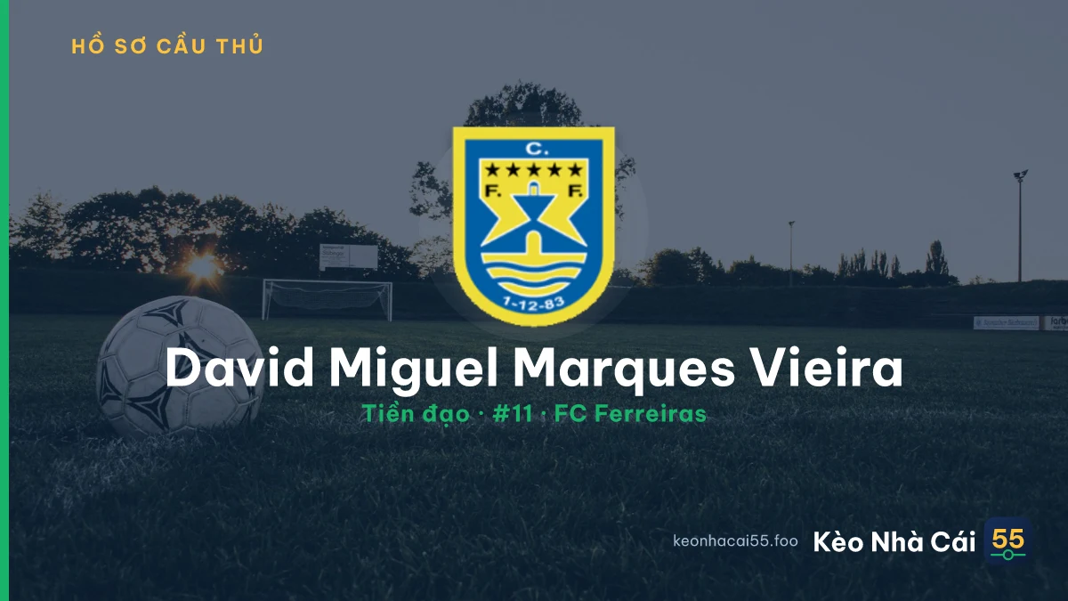 David Miguel Marques Vieira — FC Ferreiras