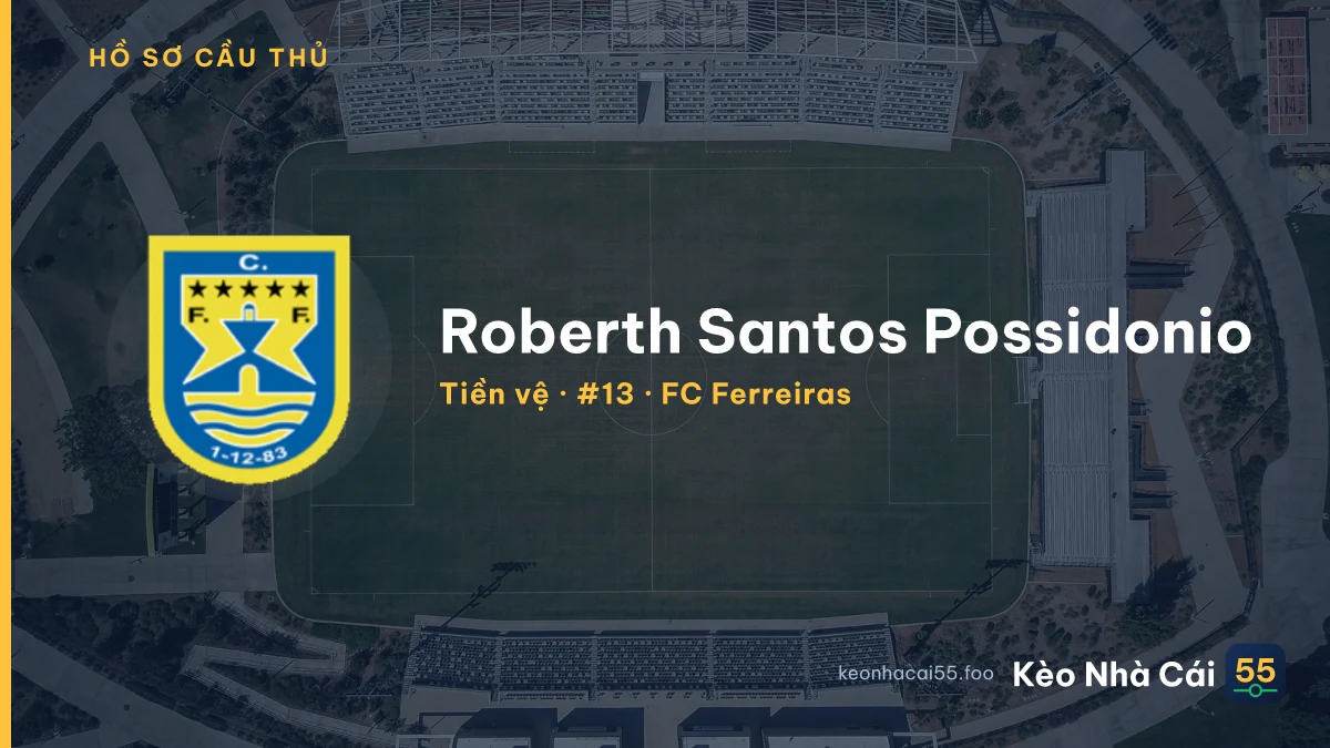 Roberth Santos Possidonio — FC Ferreiras